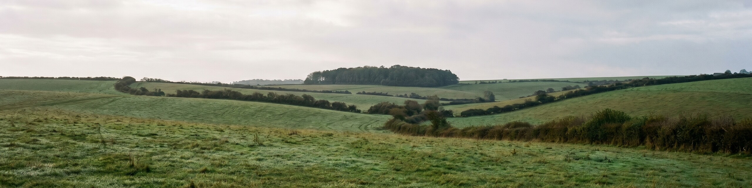 sussex-rolling-fields-banner We're now Green Small Business Certified - what it means for our clients