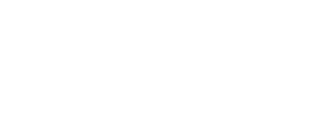Haven Security logo